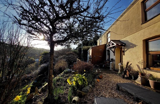 Vegan Homestay and Retreat