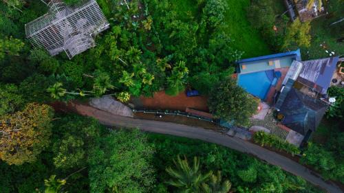 Venezia - Wayanad