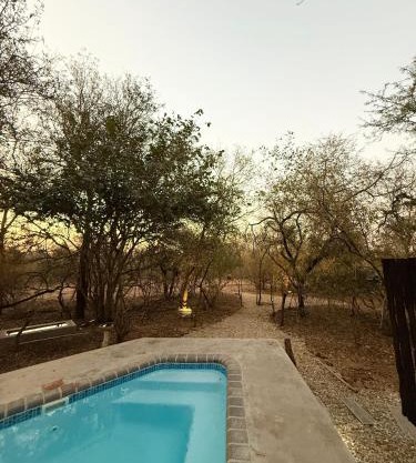 Veni Vidi Amavi Luxury Safari Treehouse