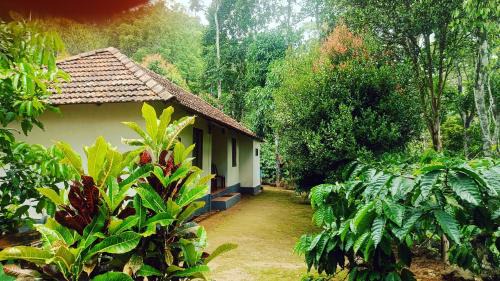 Verdant Vagamon Farm House