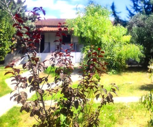 Vergia Studios