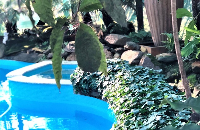 Private Resort: heated pool/spa, sauna, tennis, billiards, cellardoor