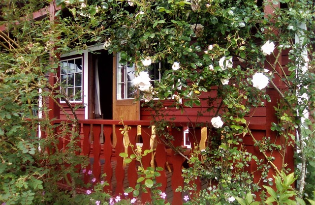 cabane en rondins scandinave confortable dans un endroit calme sur un grand terrain