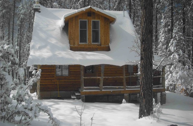 Very Private Cabin Cheval bienvenus Dog Friendly dans les Pines