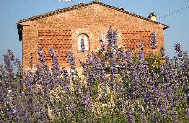 Position strategique pour visiter la Toscane. Prix degressifs selon la durèe