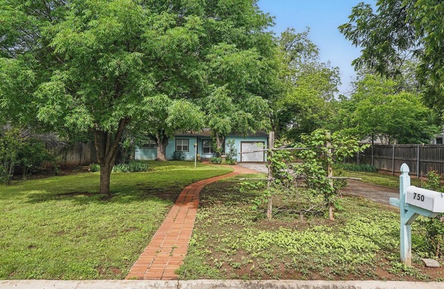 Vibrant Artistic Retreat Among the Trees