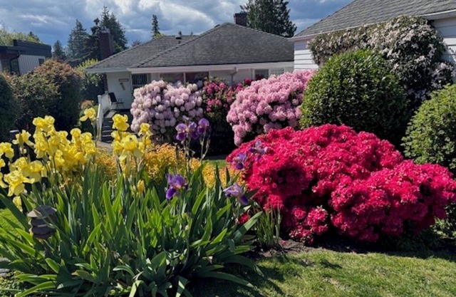 Voir Accueil - West Seattle, 1mo. min. Près de Puget Sound, Parcs & Transports