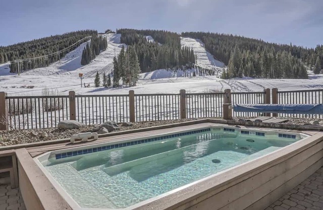 Appartement confortable rénové: Ski-On / Off, Golf-On / Off, Unité Laveuse / Sécheuse - Animaux acceptés