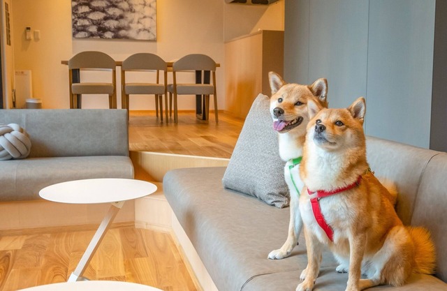 VILLA 105 Pets allowed / Aso-gun Kumamoto