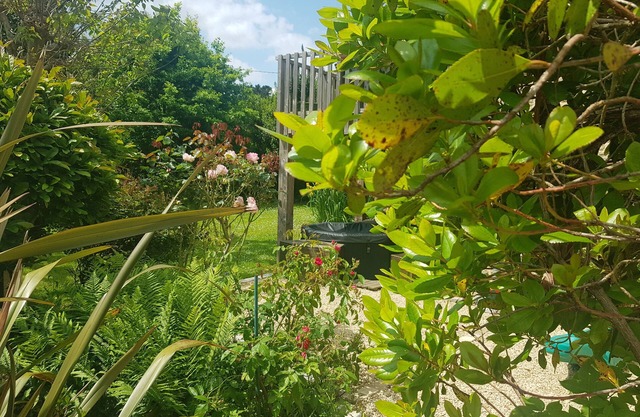 Villa Bambou, un ecrin de verdure en coeur de ville
