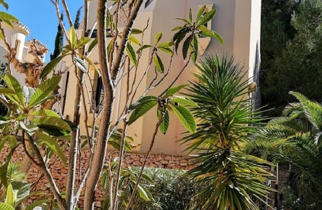 villa blanche. Urbanisation de luxe, à proximité des espaces verts de la plage. 3 cames