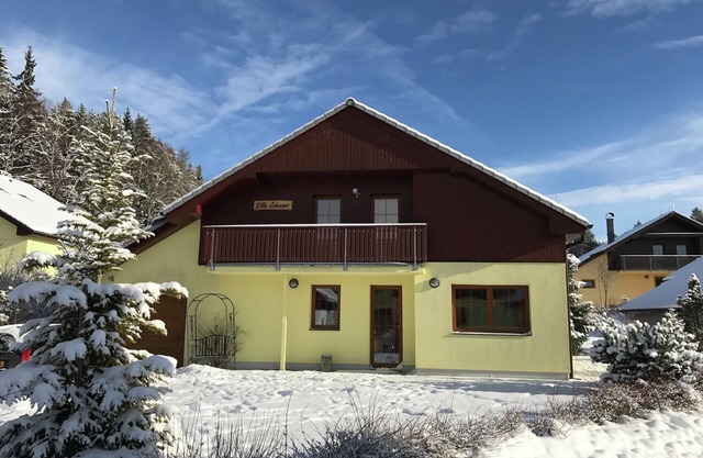 belle villa avec pistes de ski