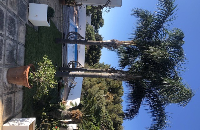 Villa Cancelliere, surrounded by greenery with pool and relaxation