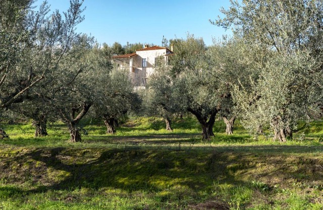 VILLA KLOTILDI