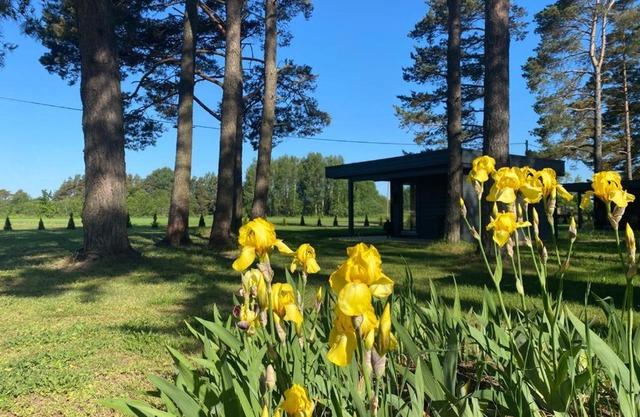 Villa Männituka Suvetuba