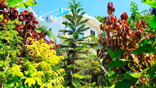 Villa Modara Ocean For Rent