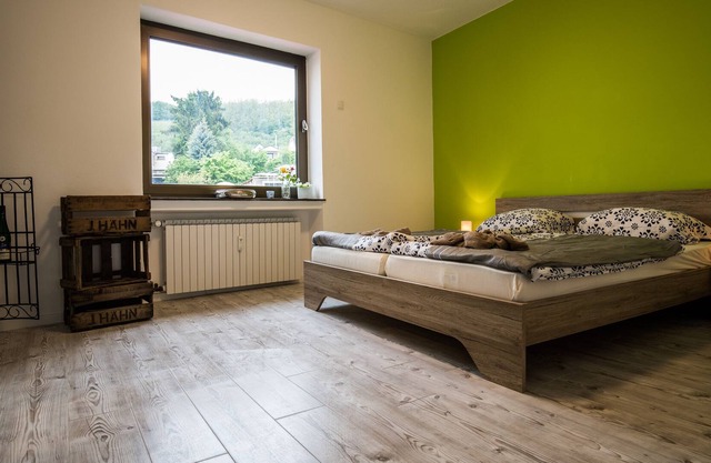 Villa sur les rives de la Moselle dans la ville thermale de Coblence-Güls