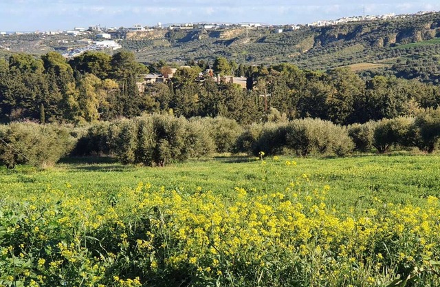 Villa Phyllia, a property with history - fifteen minutes from Iraklion airport.