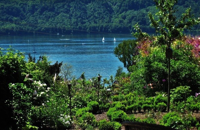 Vue fantastique sur le lac