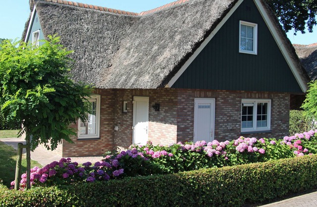 Villa with sauna, Villa Lachmöwe, 10 minutes by bike from the beach