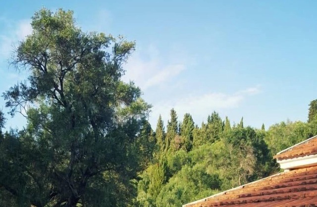 Villa avec piscine privée Afionas Corfou