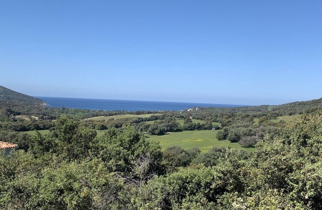 Villa avec piscine, entre oliviers et mer - vue fantastique !