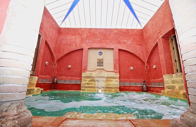 Villa with Sauna Hamman & pool in Seville