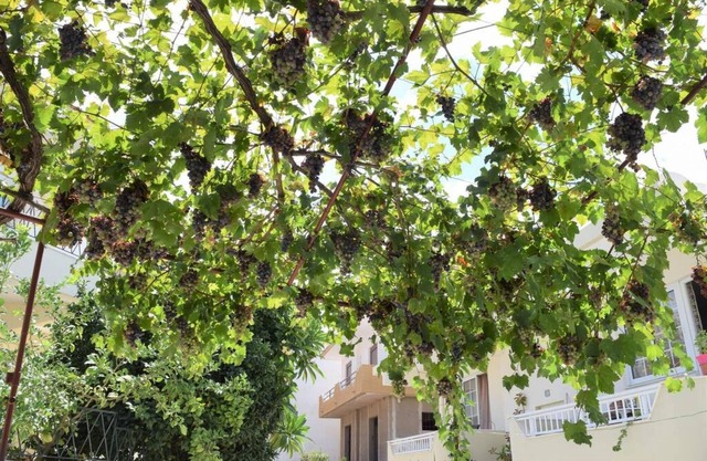 Village Home in Paradisi Rhodes
