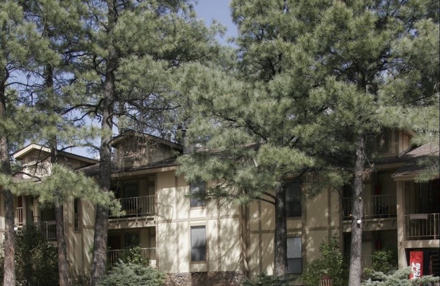 Village Lodge Condos