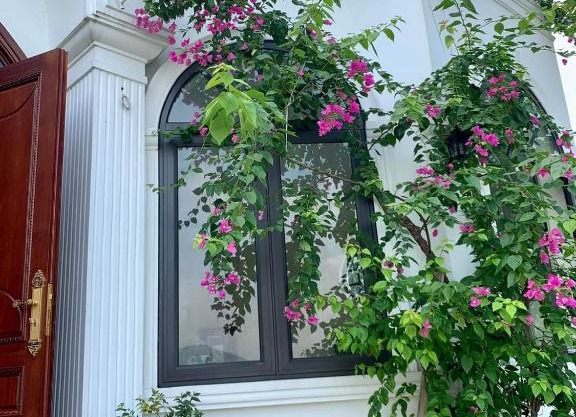 Villas Little White House Quê Vải