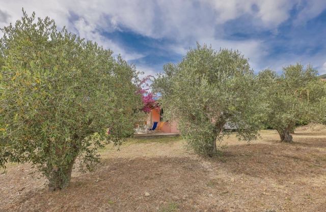 Villino Lampone with sea view, immersed in a garden of olive trees