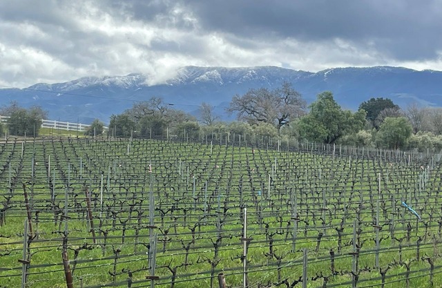 Maison vigneronne pour les amateurs d'art