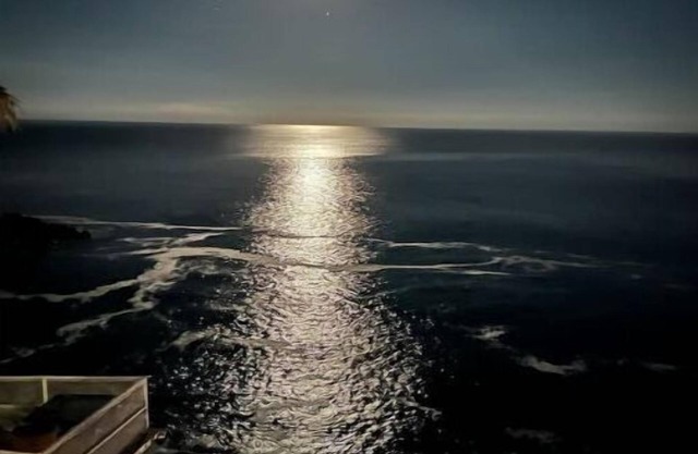 Vista de ballenas (whale watching)