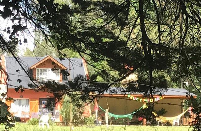 Vivi's House