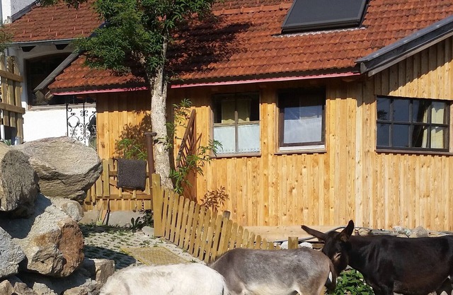 Vrbo Property