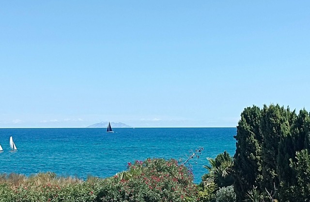 CORSE, Vue mer Appartement lumineux 6 pers. Marines de BRAVONE LINGUIZZETTA