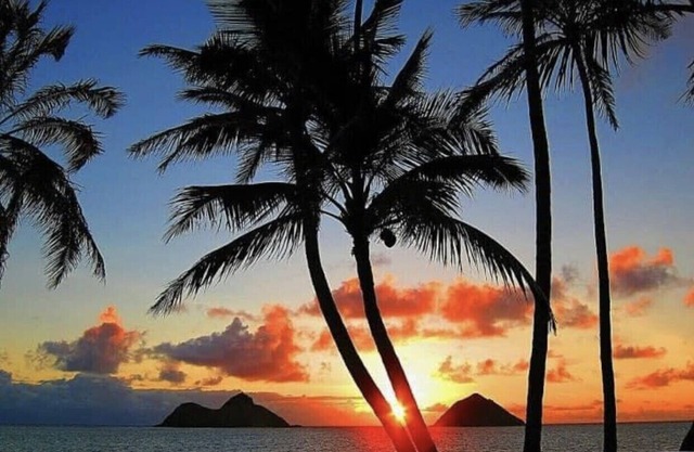 Waikiki studio $68/day