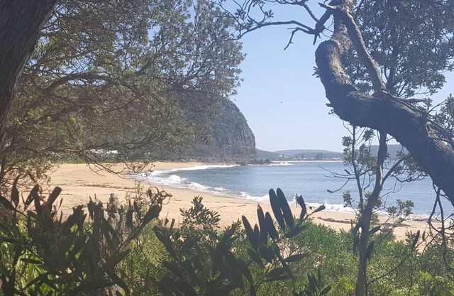 Réveillez-vous avec les oiseaux, endormez-vous au surf à la plage d'Umina Bungalow