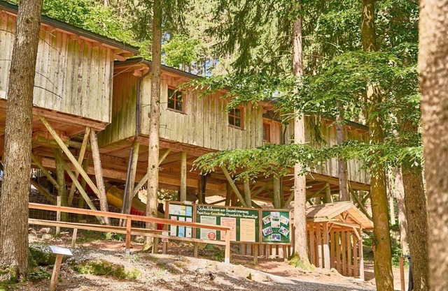 Waldzimmer - Baumhotel