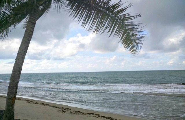 Promenade à la plage, golf, piscine à Belle Dorado Beach