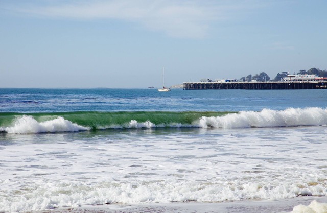 Marchez jusqu'à Seabright Beach, Boardwalk, Harbor depuis votre retraite confortable!