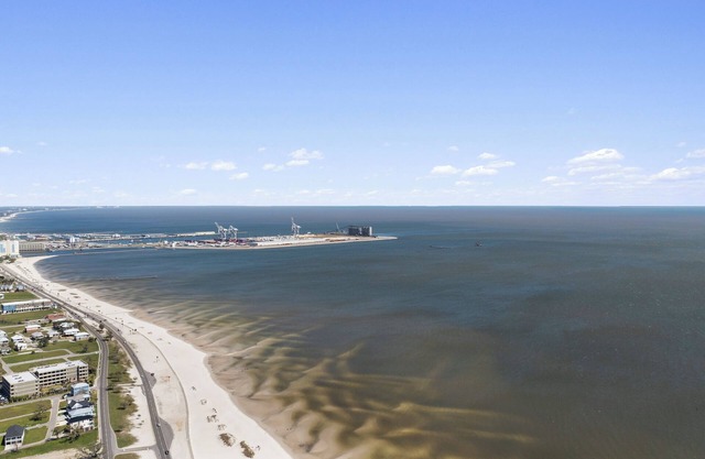 Walk to beach/ 5min drive to Jones Park/ Aquarium & Casinos/Close to Colliseum