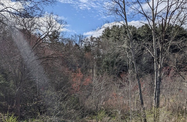 Walking Distance to Downtown Concord w/ Air Conditioning