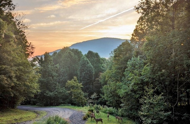 Walking distance to downtown/beautiful mountain views.