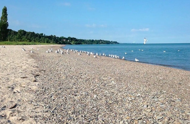 Escapade de plage relaxante