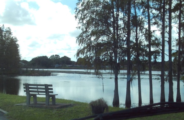Belle Floride sur le lac à New Port Richey