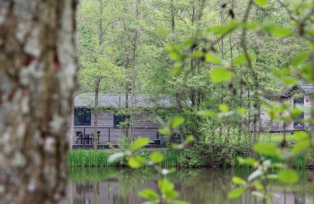 Warren wood Country Park