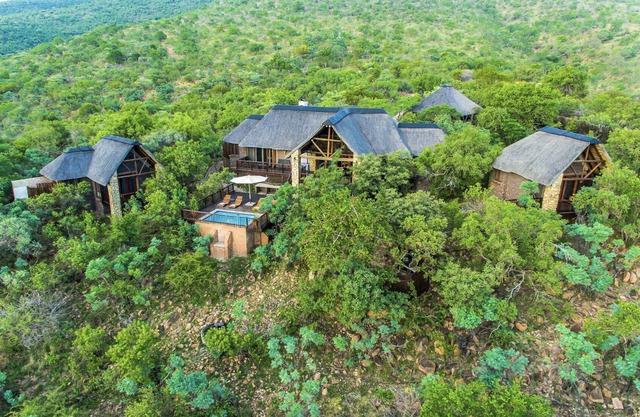 Warthog Lodge - Mabalingwe Game Reserve - Escapade safari de luxe et indépendante