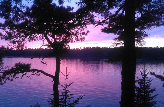 Regardez le coucher de soleil, le changement de marée sur une belle et paisible entrée d'eau salée