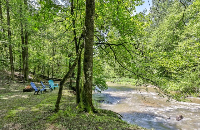 Eau, vins dans les pins - Superbe cabane en rondins sur un ruisseau